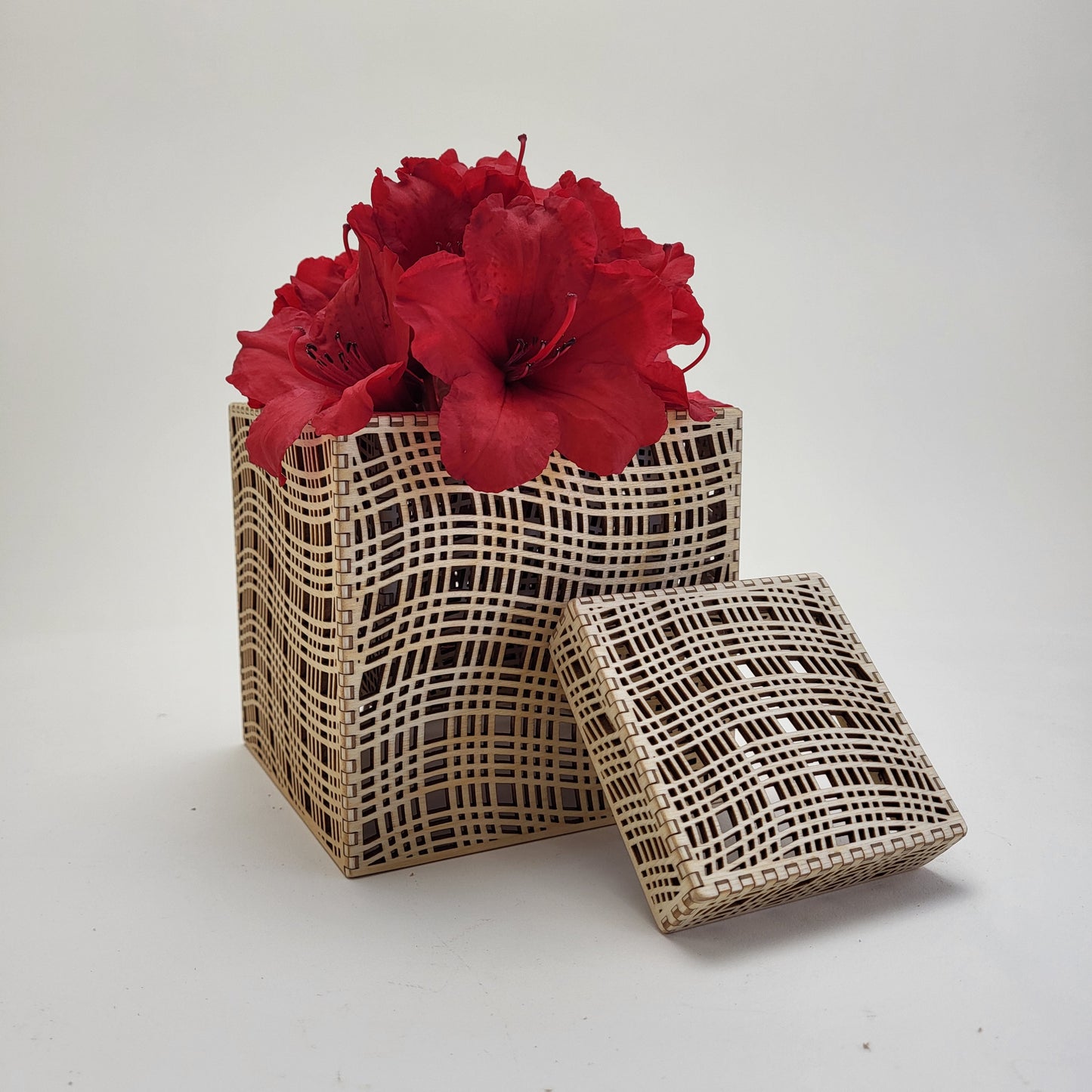 Mesh Box/Vase