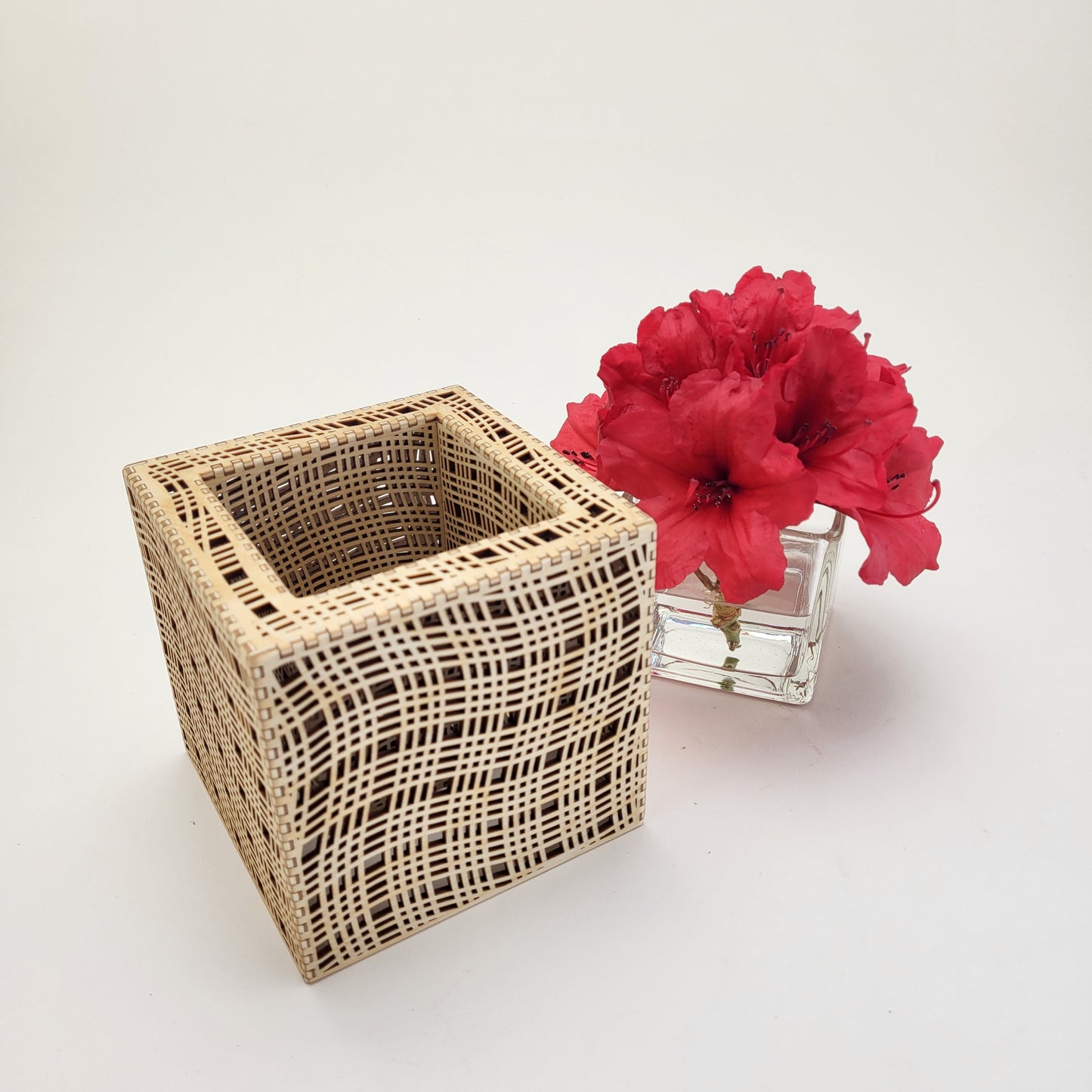 Mesh Box/Vase