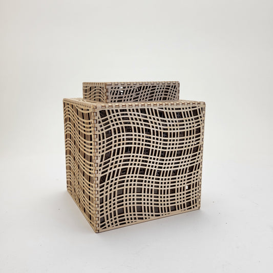 Mesh Box/Vase